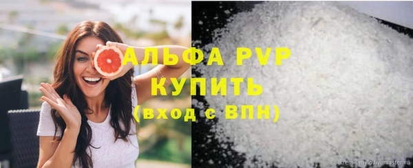 твердый Ельня