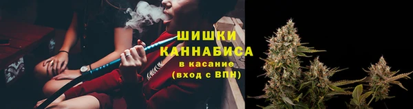 твердый Ельня