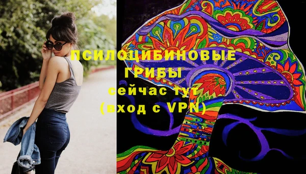 твердый Ельня