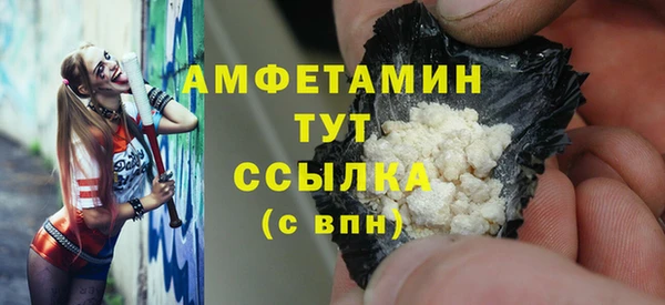 твердый Ельня