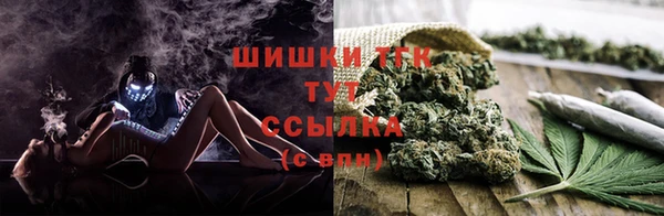 твердый Ельня