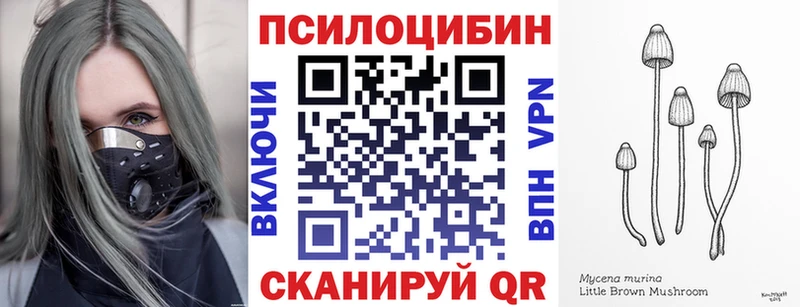 Купить где  Спасск-Рязанский  Псилоцибиновые грибы Cubensis 